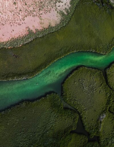 Drone footage of the emerald green mangroves on Isla San José in Baja, Mexico